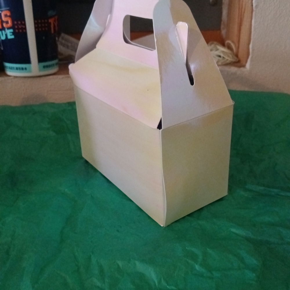 Iridescent Mystery Box--Sold By My Autistic Son